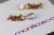 IMG_3307.JPG