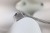 IMG_7629.JPG